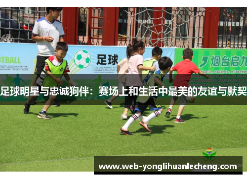 足球明星与忠诚狗伴：赛场上和生活中最美的友谊与默契